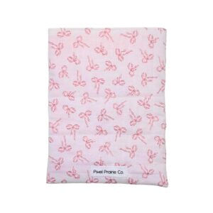 Kindle Sleeve 012