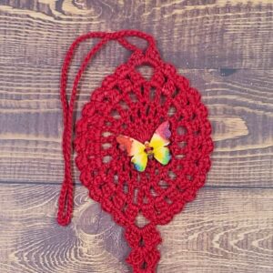 Rainbow Butterfly on Red