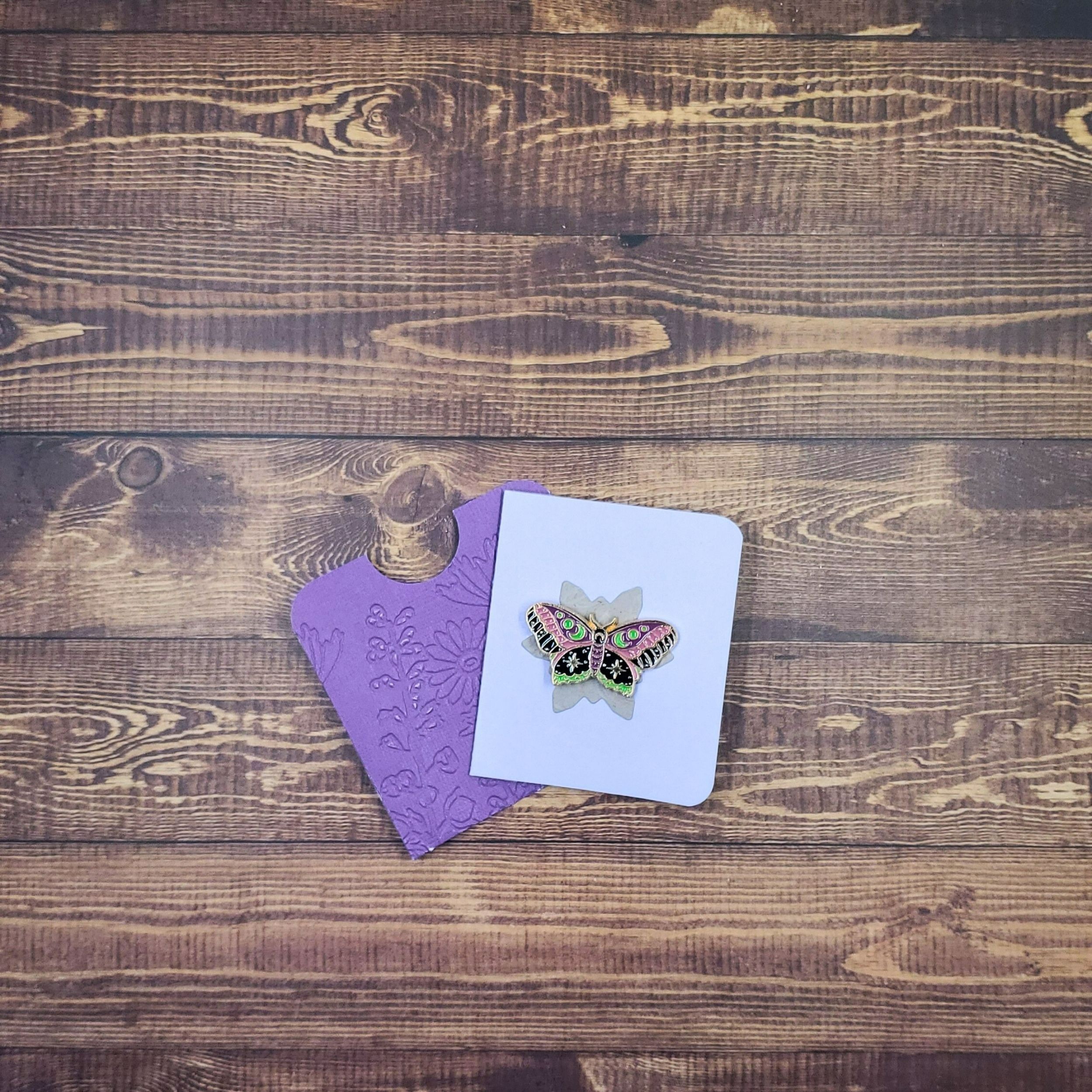 Moon Phases Moth Enamel Pin